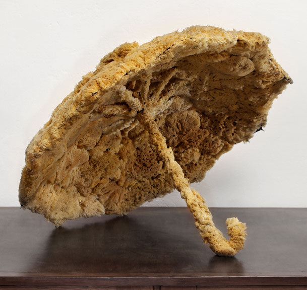 Wolfgang Paalen, <i>Nuage articule II</i>, Assemblage aus Regenschirm und Naturschwamm, 1927/40, Privatsammlung Wien
