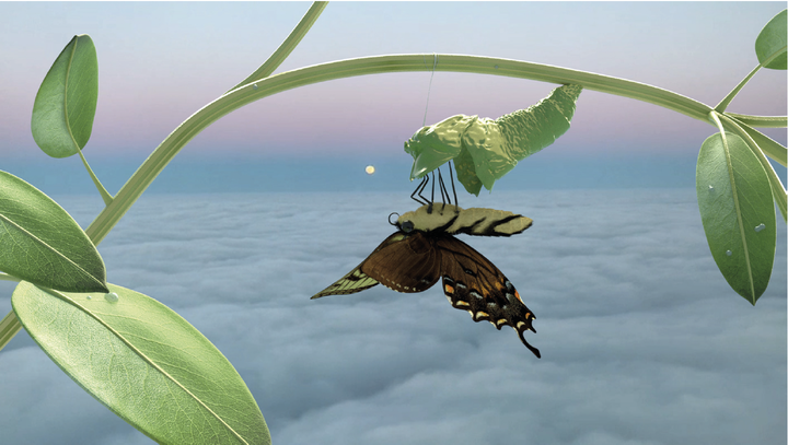 Institute of Queer Ecology, Still aus <i>Metamorphosis, Episode 3: Emergence</i>, 2020, Courtesy: Institute of Queer Ecology und DIS, New York