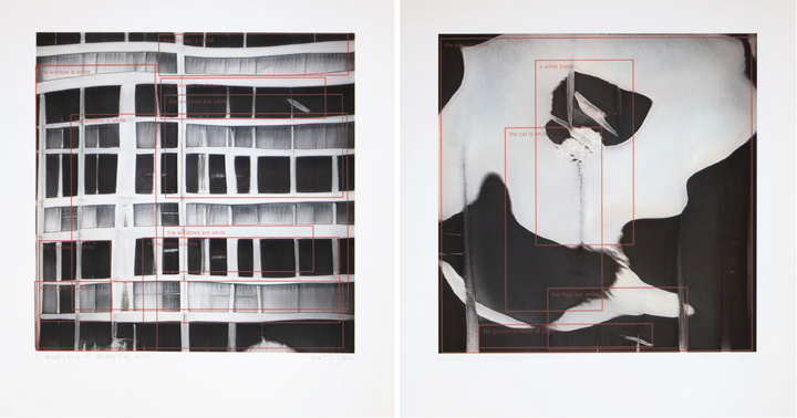 Claudia Larcher, <i>AI analyzing AI analyzing Artist</I>, 2021, Siebdrucke, Courtesy: Claudia Larcher