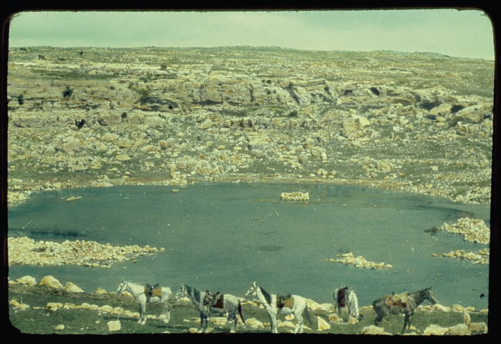 Karmel-Gebirge im Süden Palästinas, aufgenommen zwischen 1950 und 1977 Matson (G. Eric and Edith) Photograph Collection, Library of Congress, Washington