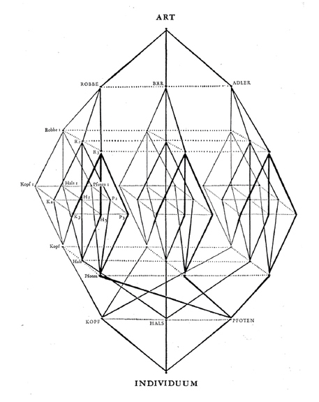 Tokenizer von OpenAI mit einem Beispielsatz aus Claude Lévi-Strauss' <i>Strukturaler Anthropologie</i>, h ttps://platform.openai.com/tokenizer