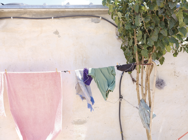 31° 24' 29.46" N, 35° 10' 30.18" E 757.95 m 48.60° 22.07.2024 – 11:56